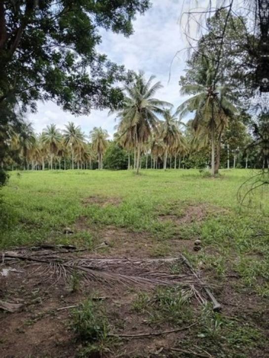 �ź��� �� ahousepost9