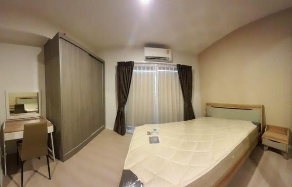 �����¹��� ���˹����ѧ�������Ѿ��