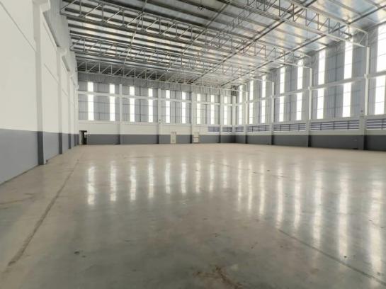 ����ç�ҹ �ҧ�����طû�ҡ��