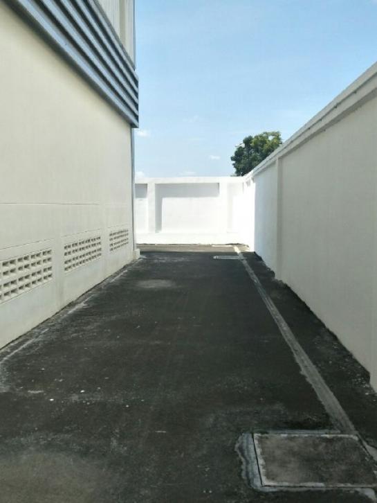 ����ç�ҹ �ҧ�����طû�ҡ��