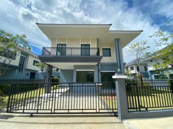 �ѹ��ᾧ �� northern1