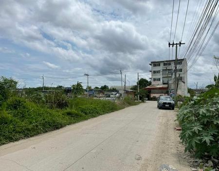 ���Թ�ҧ�� �� incube