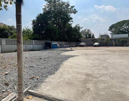 �ҧࢹ �� incube