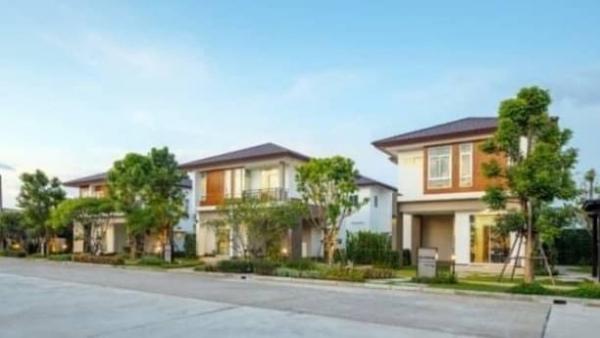 �ѹ��ᾧ �� onanong khumaphao