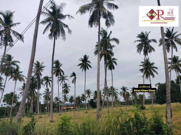 ที่ดิน pattaya ที่ดิน pattaya