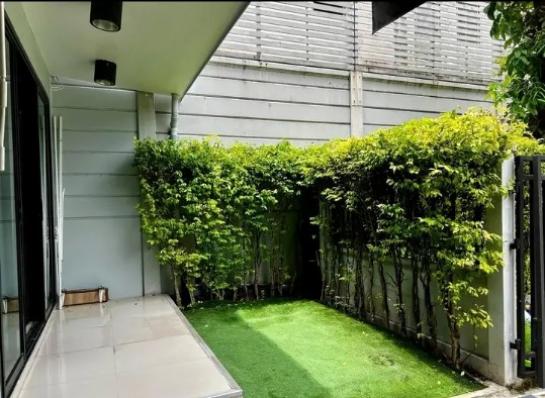 ��ǹ�������ҹ��� ��ѡ���