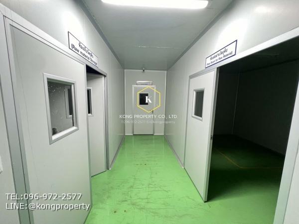 �ç�ҹ�ҧ��� �� Kong property