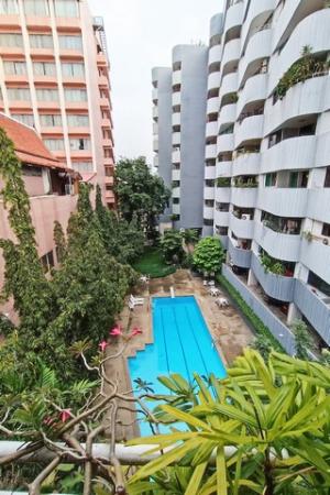 ;�����鹷��Ѳ�� �Ѳ��