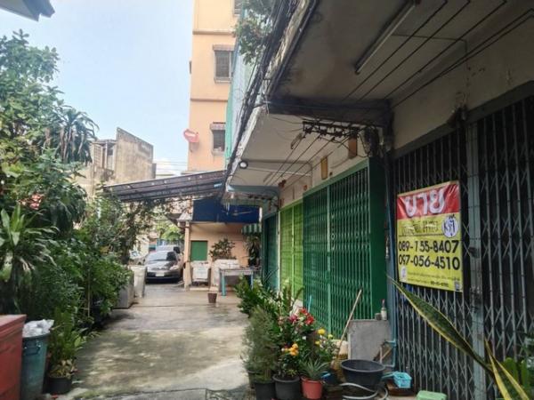 ��ا෾ �� zionasset1