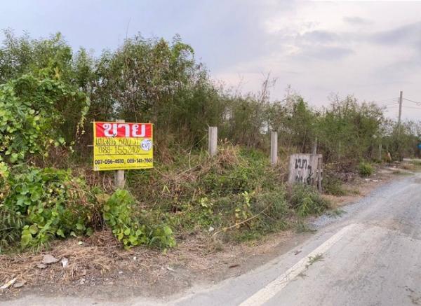 ������� �� zionasset1