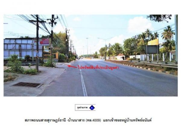 ʧ��� �� panaya.opalopal