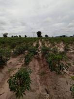 ��·��Թ �Ҥһ�С�Ȣ�� 180,000 �ҷ