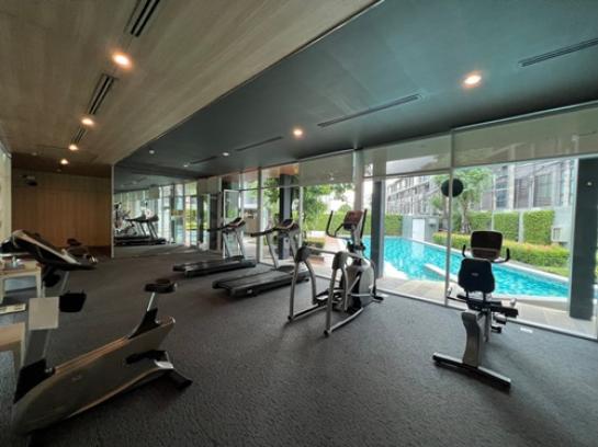 �͹ⴺҧ�л� �ҧ�л�