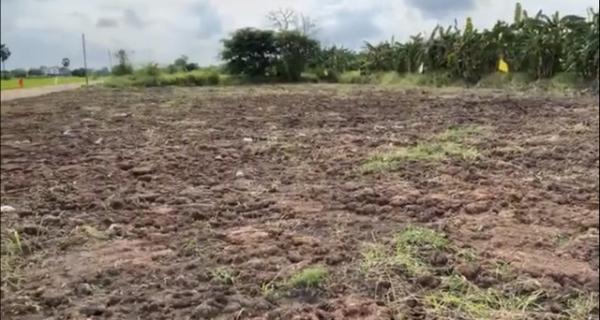 ˹ͧ���� �� kulchaya1