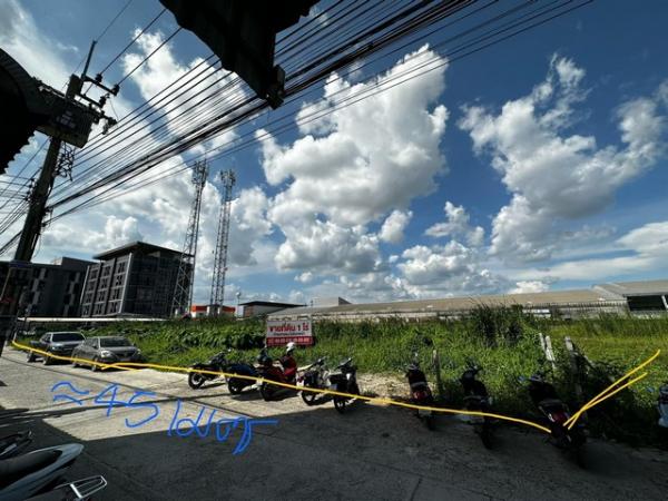 ที่ดิน ติดถนนคอนกรีต กรุงเทพ ที่ดิน ติดถนนคอนกรีต กรุงเทพ