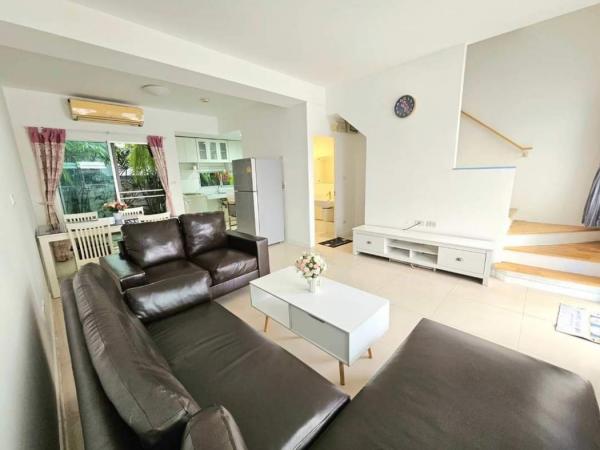 �س ��ѳ��