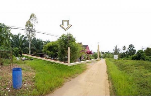 ขายบ้าน ชุมพร ขายบ้าน ชุมพร