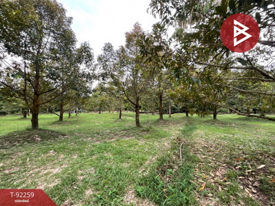 �ѹ����� �� The Best Property Agent