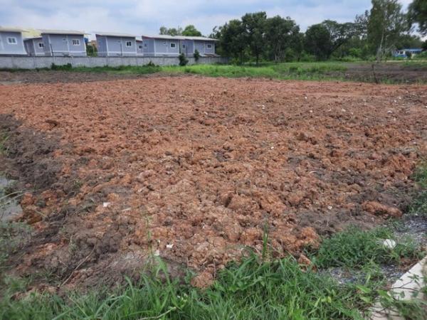 ��ͧ��ǧ �� kulchaya1