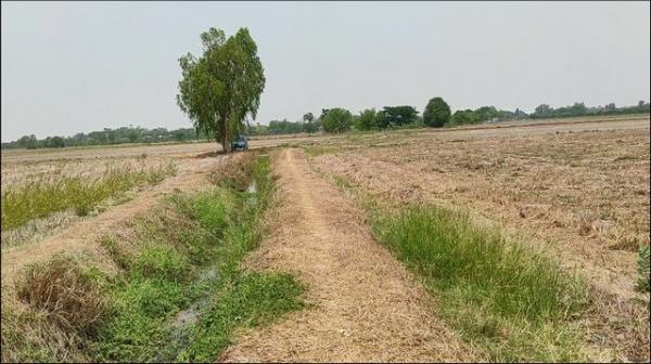 ที่ดิน ทำนา ที่ดิน ทำนา