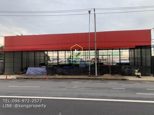 �֧���� �� Kong property