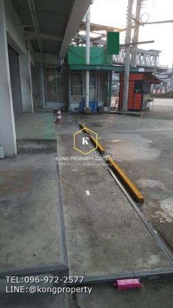 �����ҹ �� Kong property