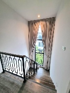 ������ ��ҹ����� ���⢹� ��ا෾