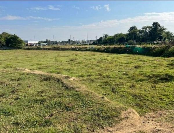 �ҧ�� �� northern1