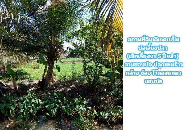 ที่ดิน ทำนา ที่ดิน ทำนา