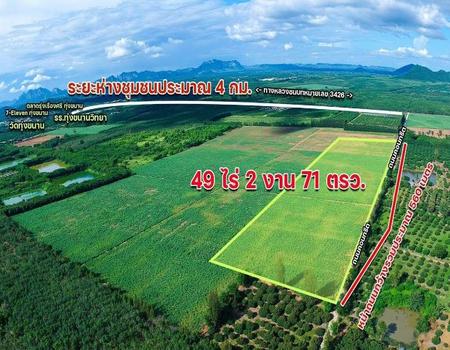 �ѹ����� �� incube