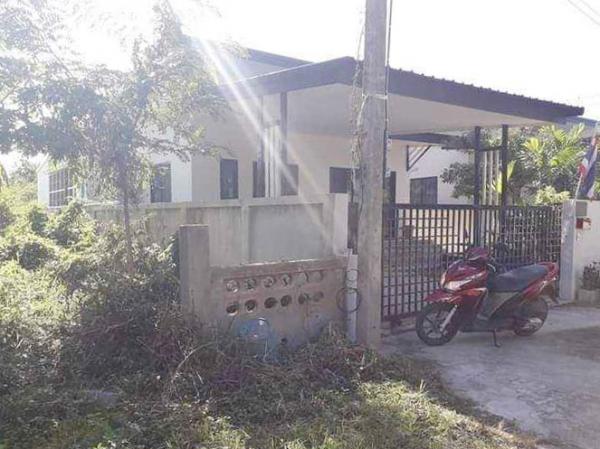 ��ҹ��§���� 11,000 �ҷ�����͹