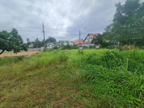 ��ªź��� �� pazarestate1