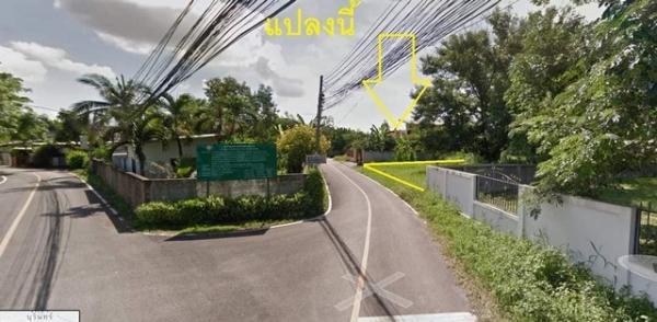 ����ԧ �� tayapornaik1