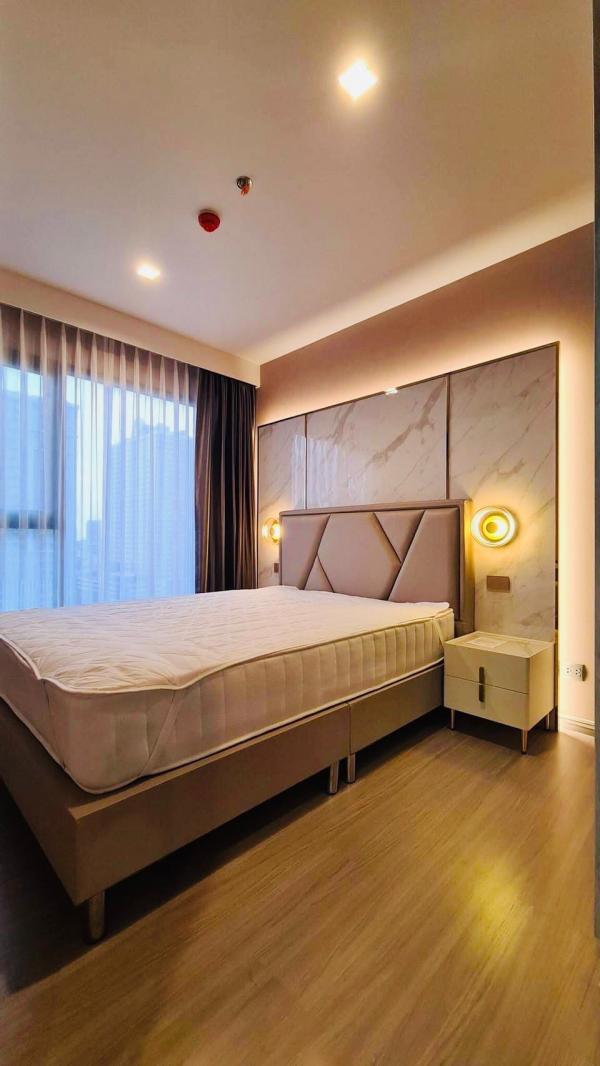 DD Asset �Ѻ��������ѧ�������Ѿ��