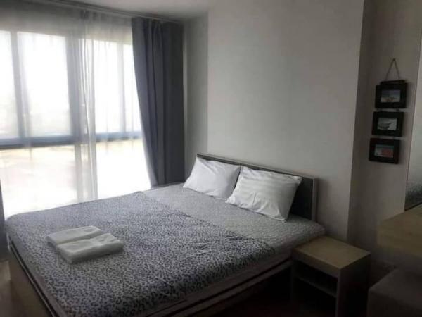 �ҧ�� �� All Living