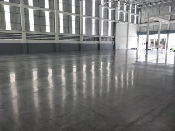 �ç�ҹ������ �ҧ�����طû�ҡ��