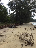 ���Թ ��ҧ