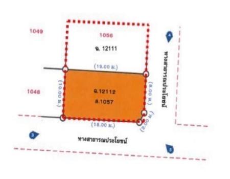 �չ���� �� incube