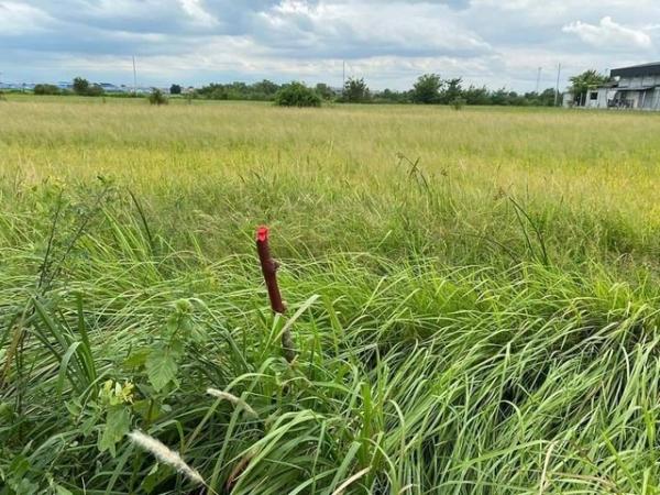 ��ͧ��ǧ �� kulchaya1