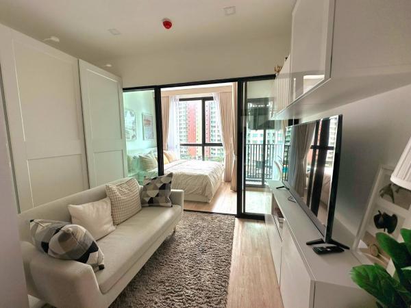 DD Asset �Ѻ��������ѧ�������Ѿ��