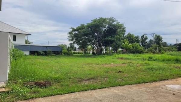 ������� �� onanong khumaphao