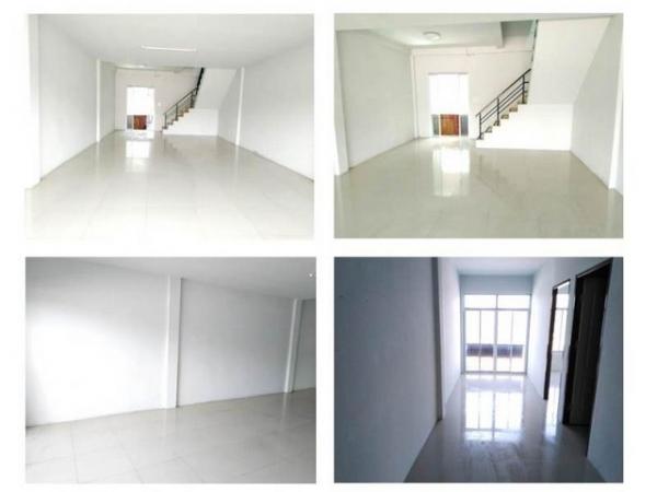 �Ҥ�þҳԪ�� ���žع�Թ ����ɮ��ҹ�