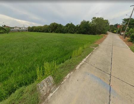 ���Թ�ѧ���ͧ����� �ҧ�˭�