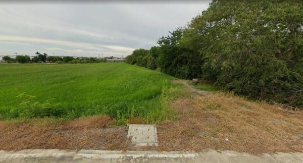 ���Թ������� �ҧ�˭�