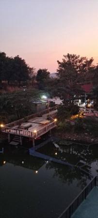 �觤�� �� sopa