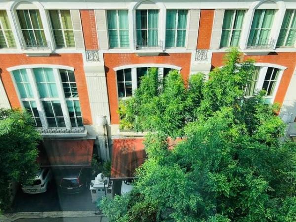 �Ѳ�� �� natanong78