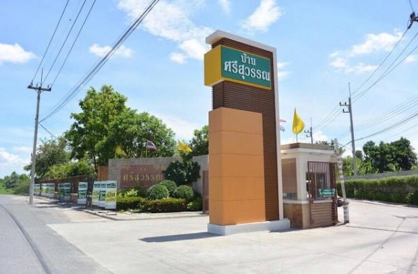 ���ʹԤ� �� sopa