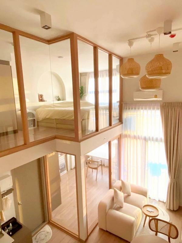 DD Asset �Ѻ��������ѧ�������Ѿ��