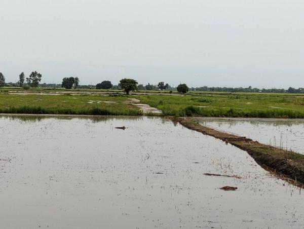 ����� �� Noname2023