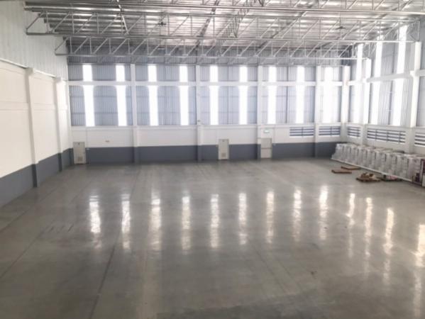 ����ç�ҹ �ҧ�����طû�ҡ��